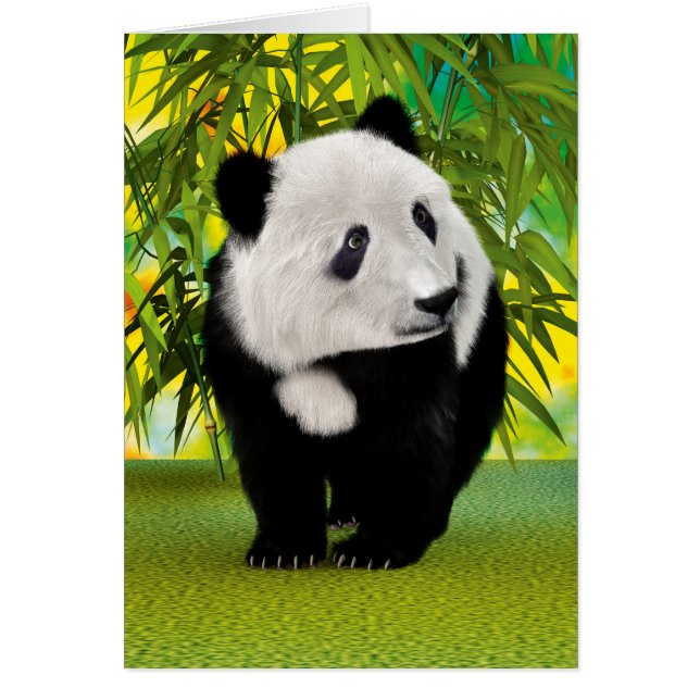 Panda berenjong (Voorkant)