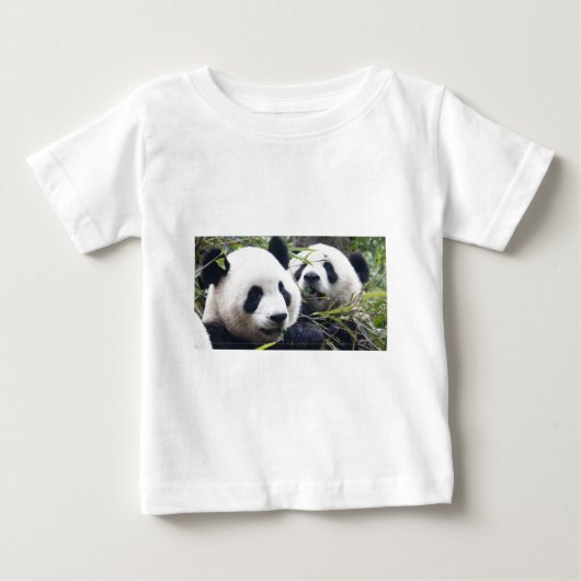 Panda Berenknuffels (Voorkant)