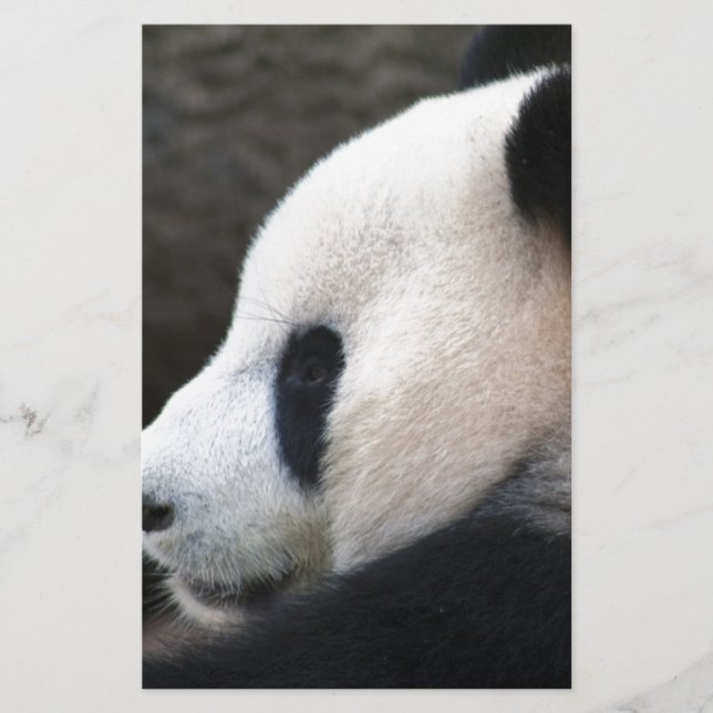 Panda Berenknuffels (Voorkant)