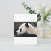 Panda Berenknuffels Briefkaart (Staand voorkant)