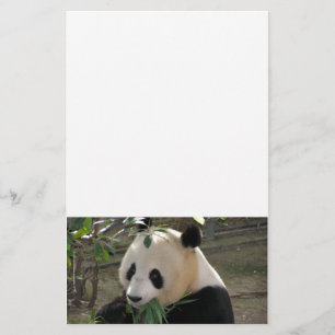 Panda Berenknuffels Briefpapier
