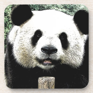 Panda Bier Onderzetter