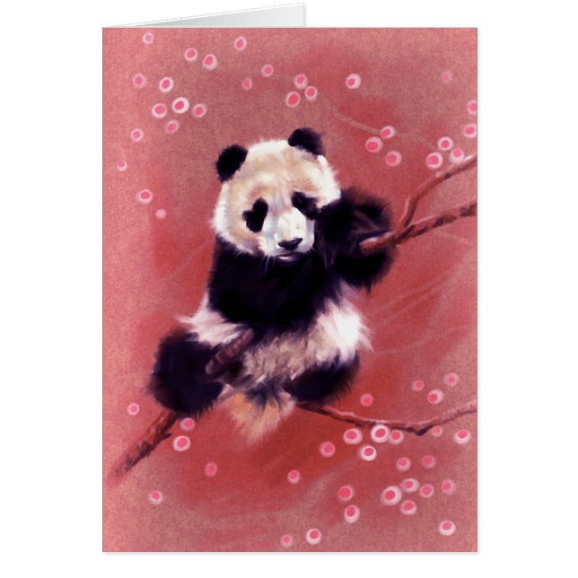 Panda Blossom (Voorkant)