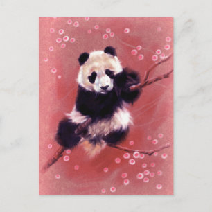 Panda Blossom Briefkaart