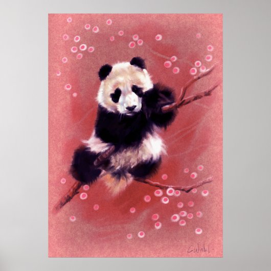 Panda Blossom Poster (Voorkant)
