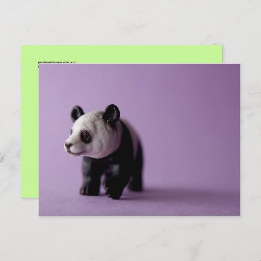 Panda Briefkaart (Voorkant / Achterkant)