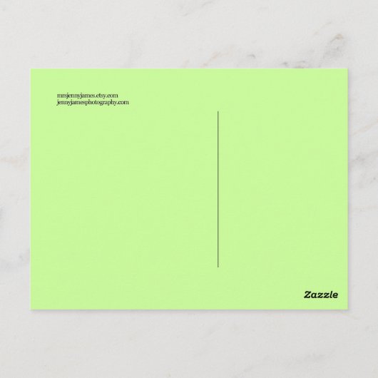 Panda Briefkaart (Achterkant)