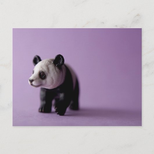 Panda Briefkaart (Voorkant)