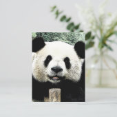 Panda Briefkaart (Staand voorkant)