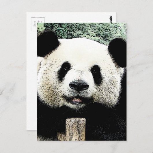 Panda Briefkaart (Voorkant / Achterkant)