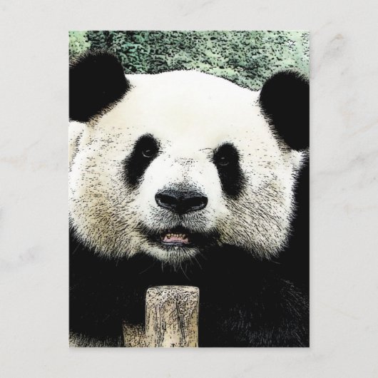 Panda Briefkaart (Voorkant)