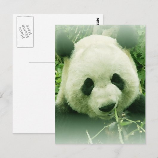 Panda Briefkaart (Voorkant / Achterkant)