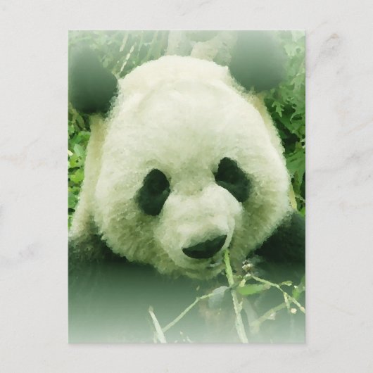 Panda Briefkaart (Voorkant)