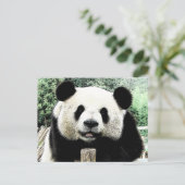 Panda Briefkaart (Staand voorkant)