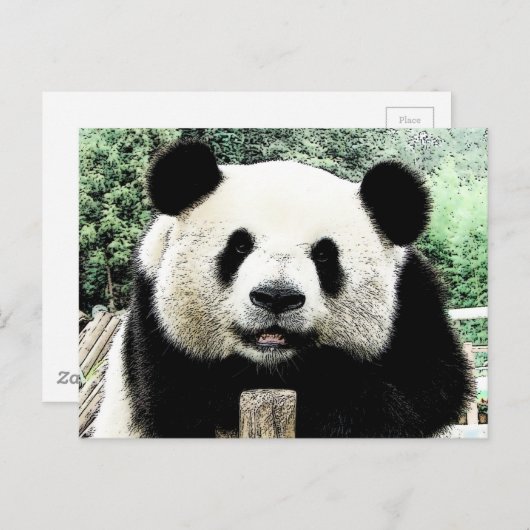 Panda Briefkaart (Voorkant / Achterkant)