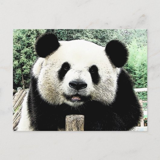 Panda Briefkaart (Voorkant)