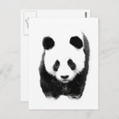 Panda Briefkaart (Voorkant / Achterkant)