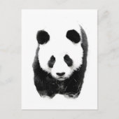 Panda Briefkaart (Voorkant)