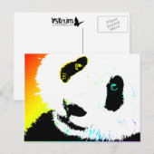 panda. briefkaart (Voorkant / Achterkant)