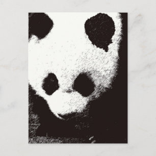 Panda Briefkaart