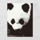 Panda Briefkaart (Voorkant)