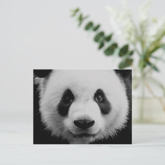 Panda Briefkaart (Staand voorkant)