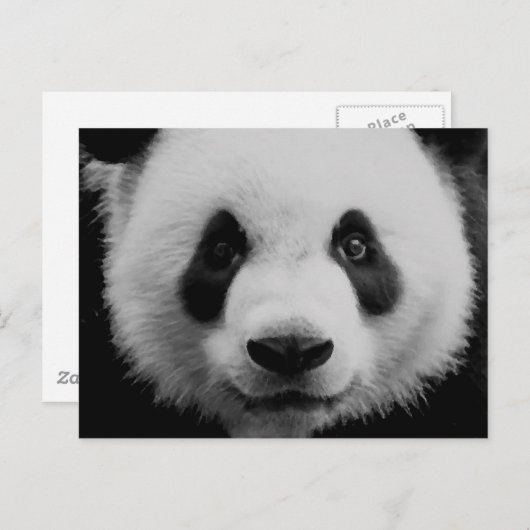 Panda Briefkaart (Voorkant / Achterkant)