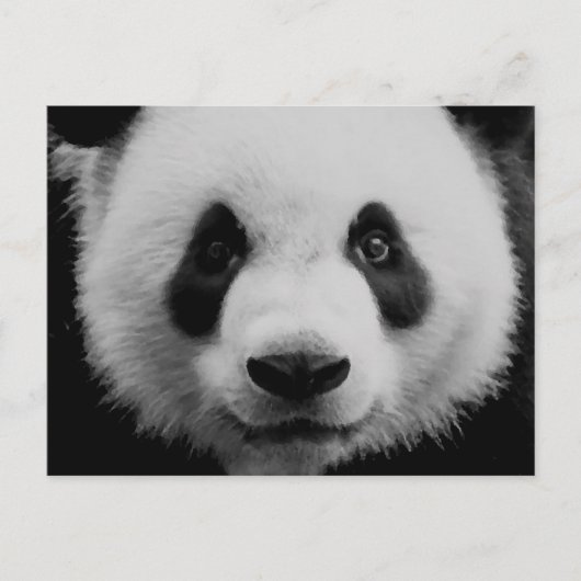 Panda Briefkaart (Voorkant)