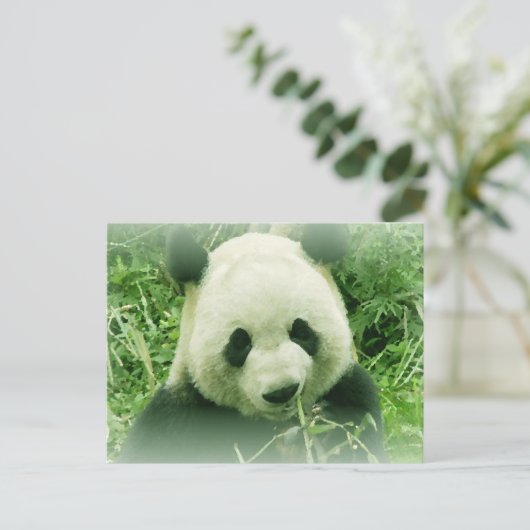Panda Briefkaart (Staand voorkant)