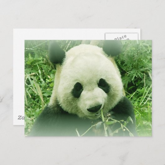 Panda Briefkaart (Voorkant / Achterkant)