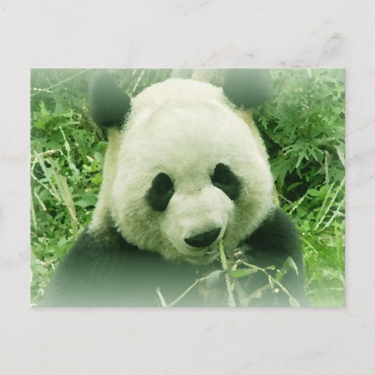 Panda Briefkaart (Voorkant)