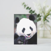 Panda Briefkaart (Staand voorkant)