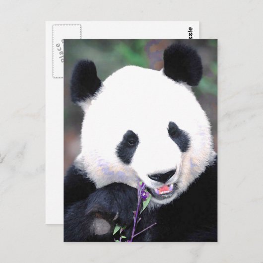 Panda Briefkaart (Voorkant / Achterkant)