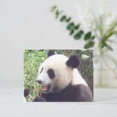 Panda Briefkaart (Staand voorkant)