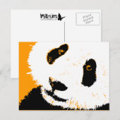 panda. briefkaart (Voorkant / Achterkant)