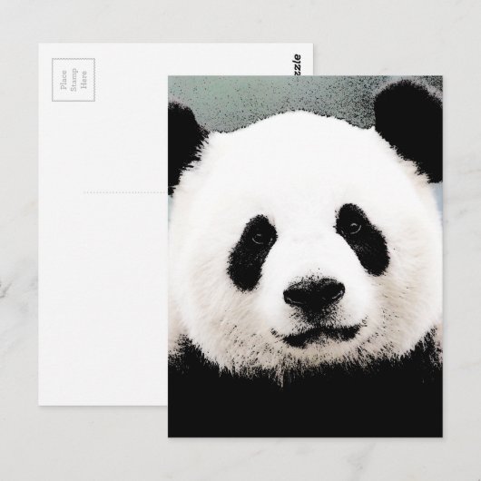 Panda Briefkaart (Voorkant / Achterkant)