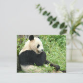 Panda Briefkaart (Staand voorkant)
