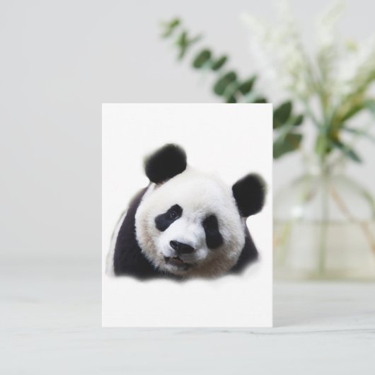 Panda Briefkaart (Staand voorkant)