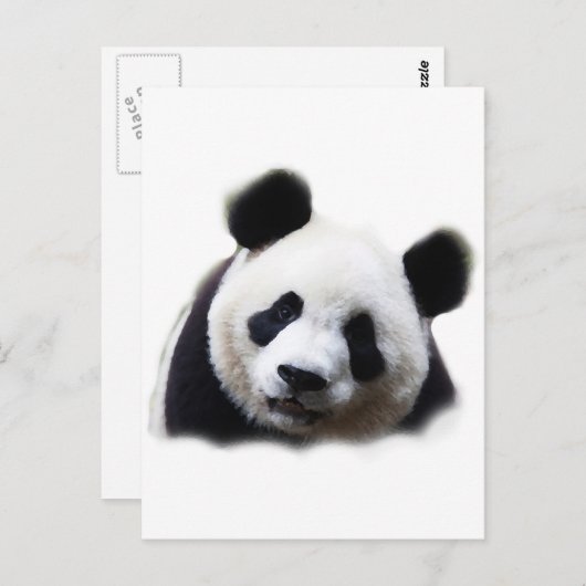 Panda Briefkaart (Voorkant / Achterkant)
