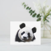 Panda Briefkaart (Staand voorkant)