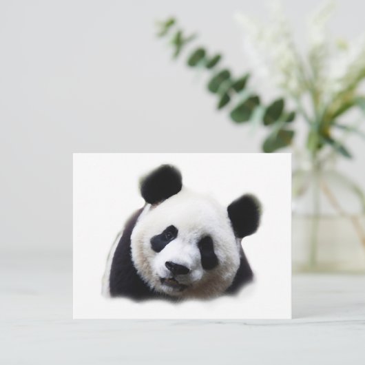 Panda Briefkaart (Staand voorkant)