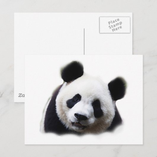 Panda Briefkaart (Voorkant / Achterkant)