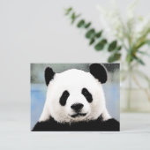 Panda Briefkaart (Staand voorkant)