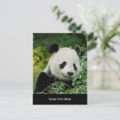 Panda Briefkaart (Staand voorkant)