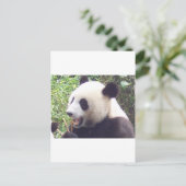 Panda Briefkaart (Staand voorkant)