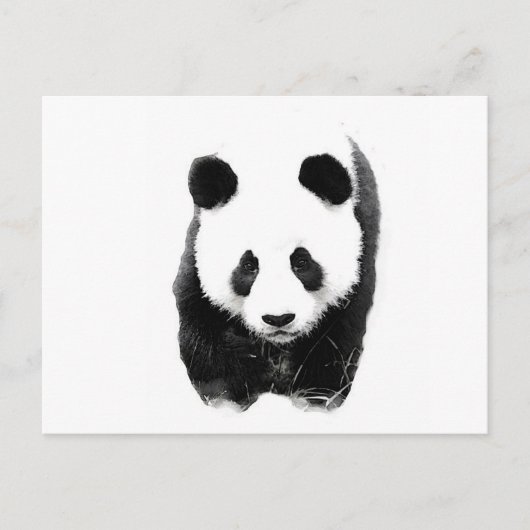 Panda Briefkaart (Voorkant)