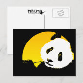 panda. briefkaart (Voorkant / Achterkant)
