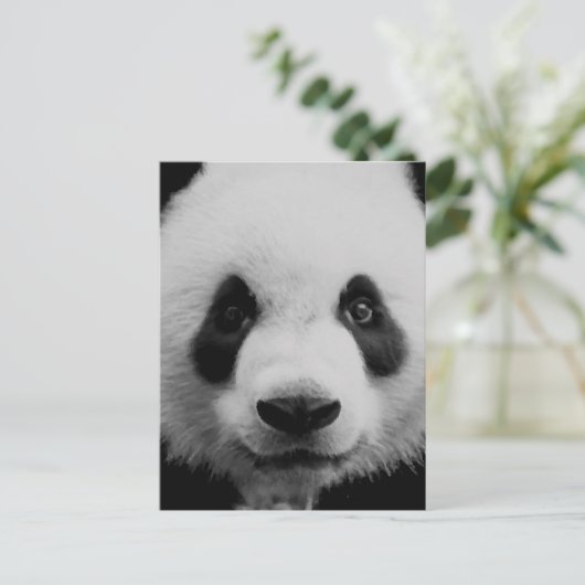 Panda Briefkaart (Staand voorkant)