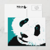 panda. briefkaart (Voorkant / Achterkant)