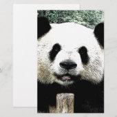 Panda Briefpapier (Voorkant / Achterkant)
